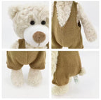 Personalized Teddy Bears/ Osito personalizado