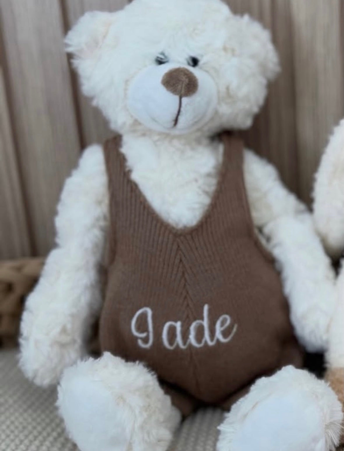 Personalized Teddy Bears/ Osito personalizado